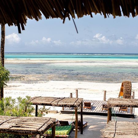Shanuo Beach Bungalows Michamvi Buitenkant foto
