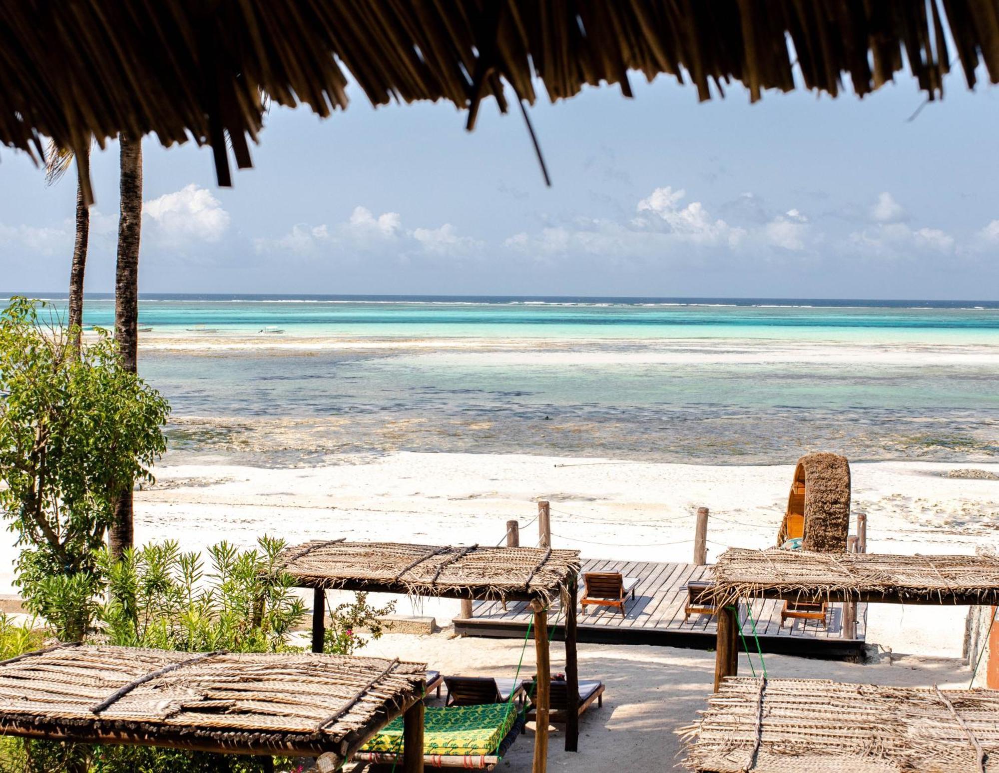 Shanuo Beach Bungalows Michamvi Buitenkant foto