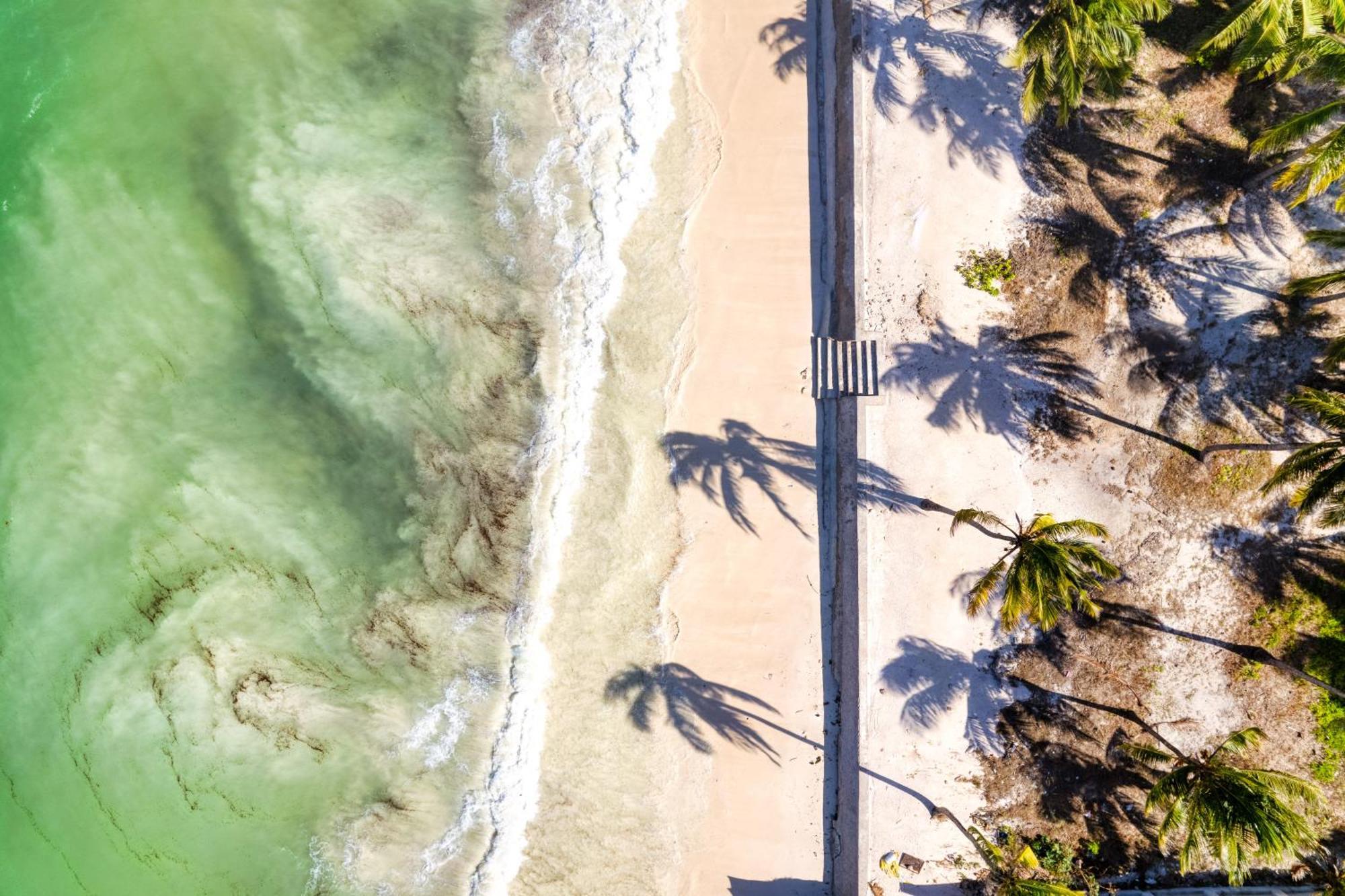 Shanuo Beach Bungalows Michamvi Buitenkant foto