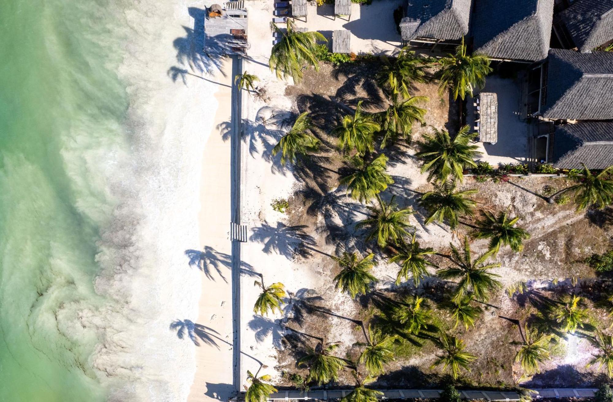 Shanuo Beach Bungalows Michamvi Buitenkant foto