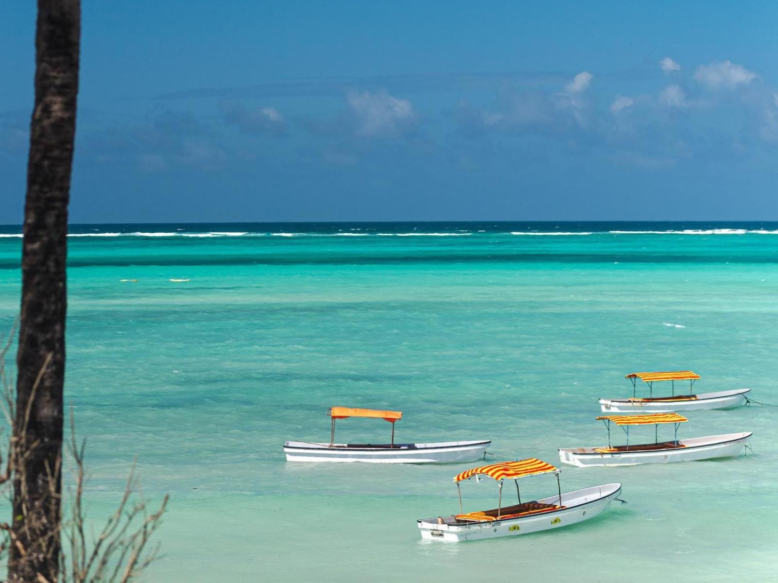 Shanuo Beach Bungalows Michamvi Buitenkant foto
