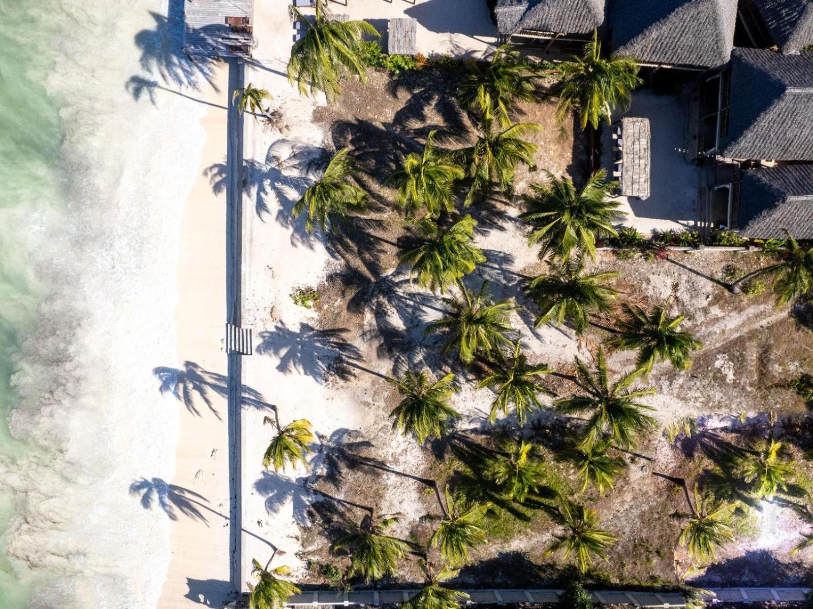 Shanuo Beach Bungalows Michamvi Buitenkant foto