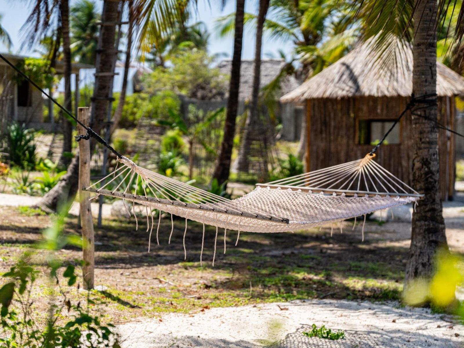 Shanuo Beach Bungalows Michamvi Buitenkant foto