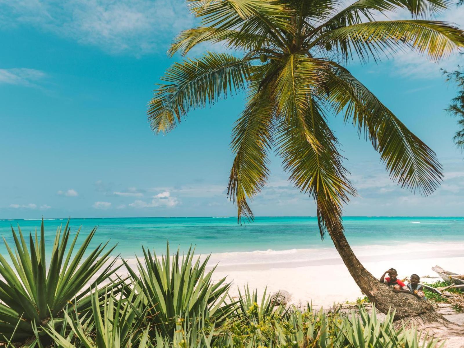 Shanuo Beach Bungalows Michamvi Buitenkant foto