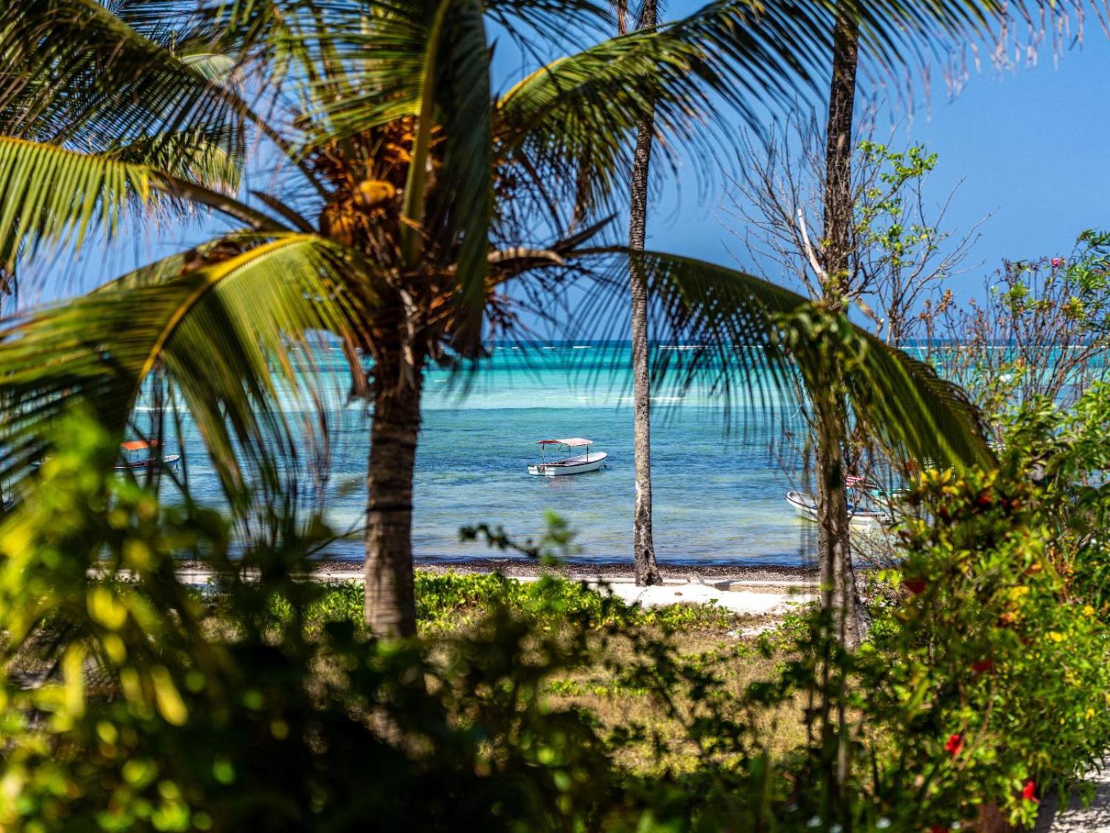 Shanuo Beach Bungalows Michamvi Buitenkant foto
